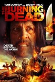 Perdido en Florencia HDRip